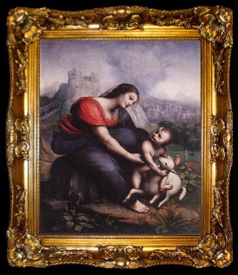framed  Cesare da Sesto Madonna and Child with the Lamb of God, ta009-2